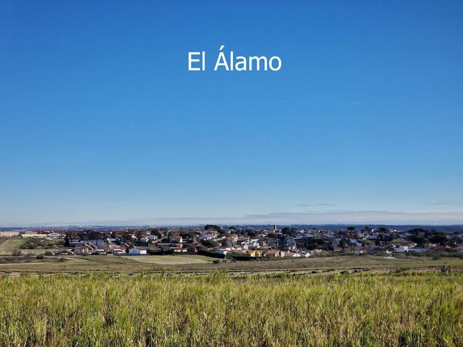 Primera Planta Completa, Эль-Аламо Экстерьер фото